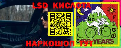 молекула духа Берёзовский
