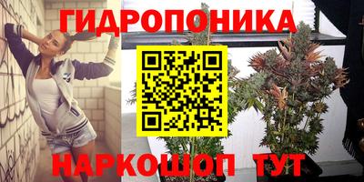 молекула духа Берёзовский