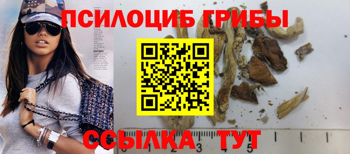 Качканар  Псилоцибиновые грибы Cubensis  Вход с VPN 